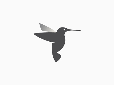 Hummingbird hummingbird logo