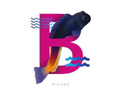 B for Blenny 36daysoftype 36daysoftype04 b blennies blenny blennyfish day2 gradation ocean orange typeface typefish