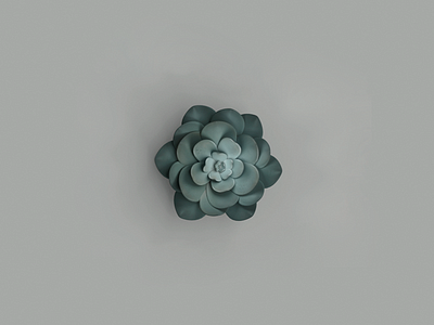 3d Succulent (Flowers, №2) 3d blender flower illustration retouch rose succulent