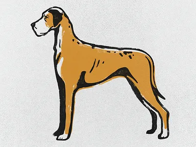 Great Dane animal dog dogs great dane icon illustration logo print screenprint