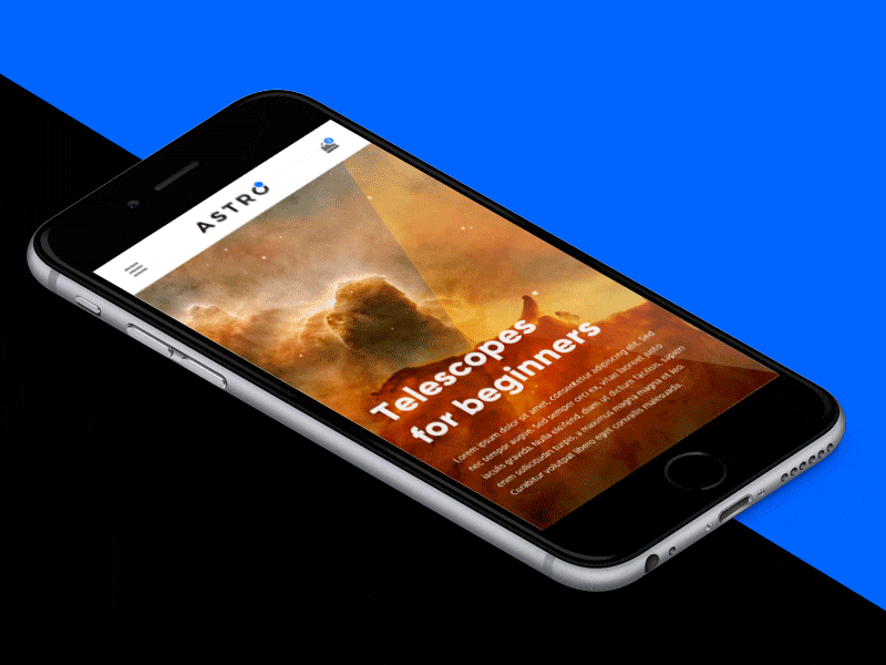 Filter UI Animation animation ecommerce mobile ui