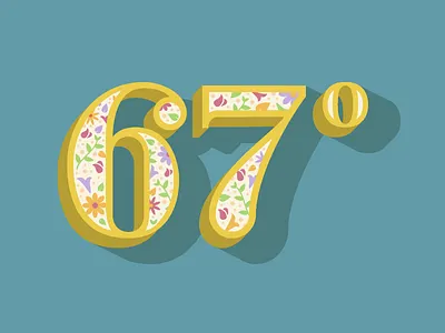 67 Dregrees 67 brooklyn flowers global warming hand lettering numbers nyc spring typography warm