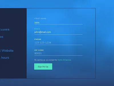Form Field branding form field interaction design ui ux vr web design