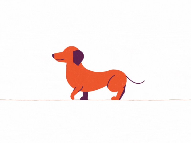 Dachshund Walk cycle dachshund dog gif hotdog walk