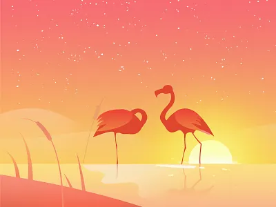 Sunset and flamingo