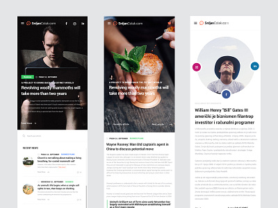 Personal Blog Responsive Web Design article blog design interface magazine news reading featured responsive ui ux web