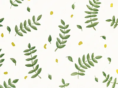 Floral pattern. Yellow petals of acacia acacia botanical fabrics floral green illustration leaves pattern spring wallpaper watercolor yellow