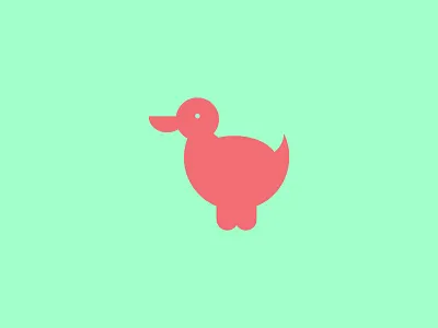 Duck animals duck