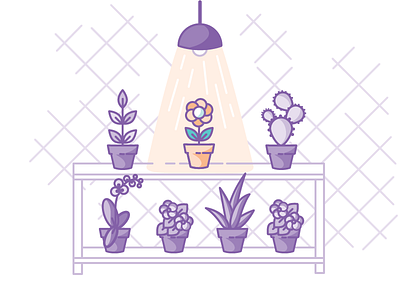 Audience content flowers foliage garden illustration light marketing medium article outline plants shopify vector