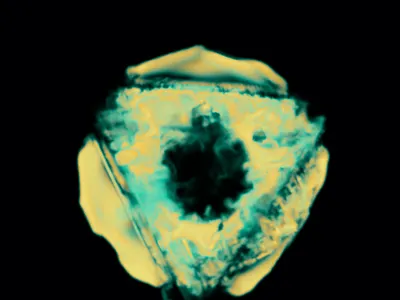 EYE eyes pupil ring smoke