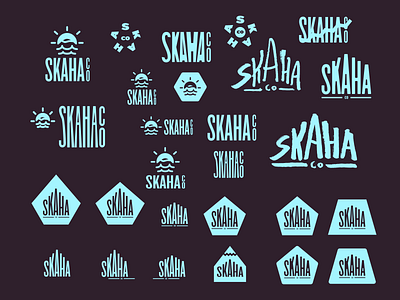 ~ Skaha Co (wip) branding cheesy coastal dangerously decisions freshness logo skaha skyblue