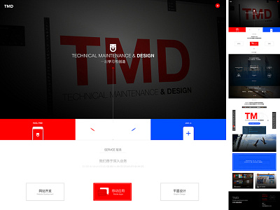 Tmd Website site web