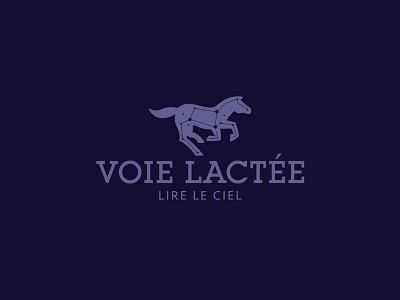 Voie Lactée brand branding cosmos flat galaxy horse identity logo logotype sky star vector