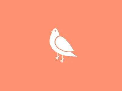 Pigeon bird pigeon trash dove vector