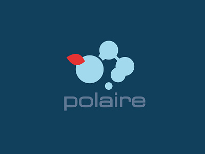 Polaire bio brand branding flat food fruit identity logo logotype polar restaurant vector