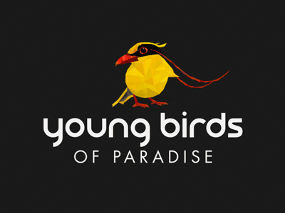 Young birds of paradise logo animation after effects logo animation