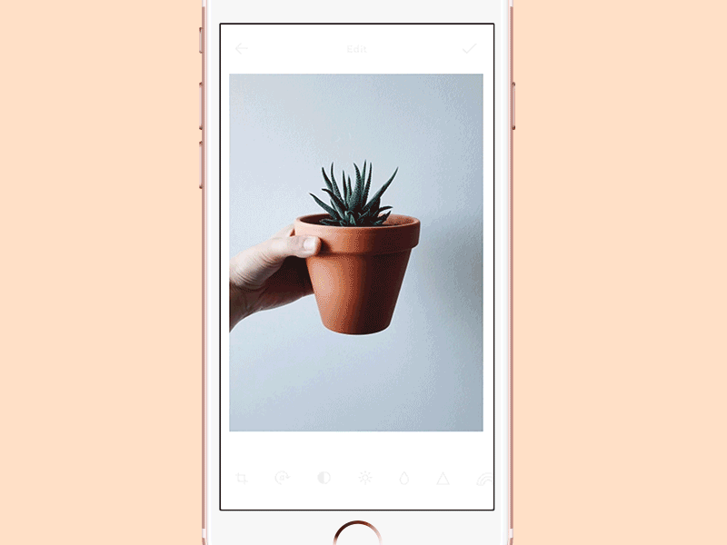 Photo Editing App - Part 2 animation app loading photo photo editor photography principle