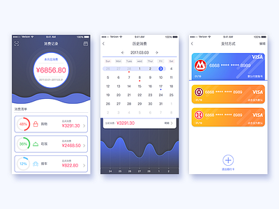 Payment interface bank card calendar data payment ui ux