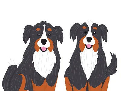 In-Progress Bernese Mountain Dogs animals bernese mountain dogs dogs