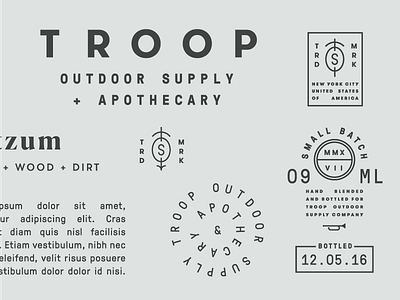 New Troop Branding Project branding design identity logo typography wordmark