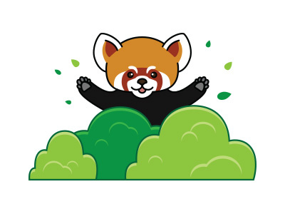 My first shot animal character illustration panda vector