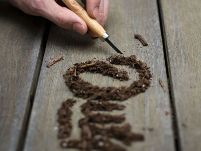 Going analog for a shoot dirt nature outdoors outpost sticks
