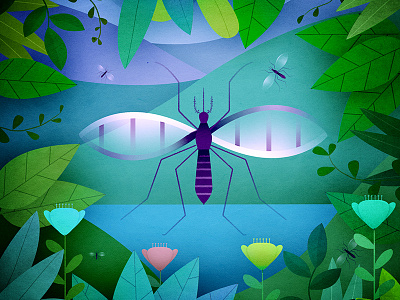 Mosquito cambodia illustration lancet malaria mosquito