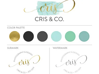 Cris & Co Branding branding feminine logo logo design