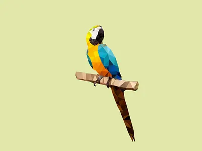 Low Poly Macaw bird delaunay identity illustration logo low poly macaw mark parrot polygon triangulation