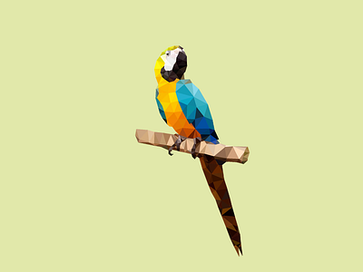 Low Poly Macaw bird delaunay identity illustration logo low poly macaw mark parrot polygon triangulation