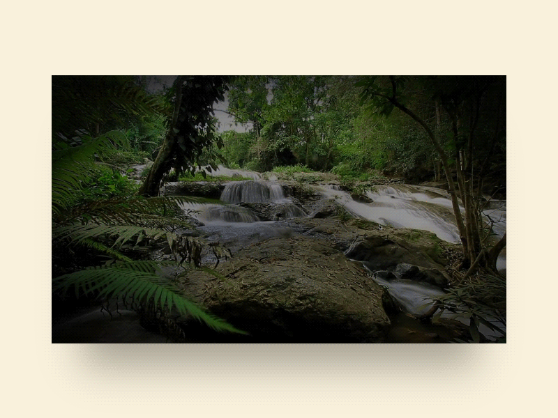 Islands at Chester Zoo – Landing chester zoo islands jungle landing page microsite rainforest video zoo