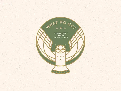 UCDD owl badge eyes logo offset owl seal stars tennessee