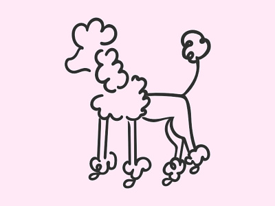 Poodle adobe capture affinity designer dog drawing poodle