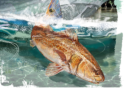 Red Fish angler fishing florida red fish sport fish