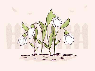 Spring Garden flower garden illustration snowdrop spring vector