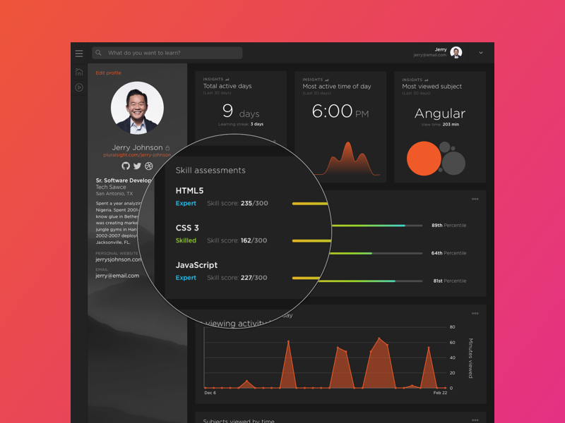 Example of Old design for profile skill assesments.