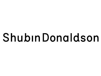ShubinDonaldson Wordmark branding identity logo typography wordmark