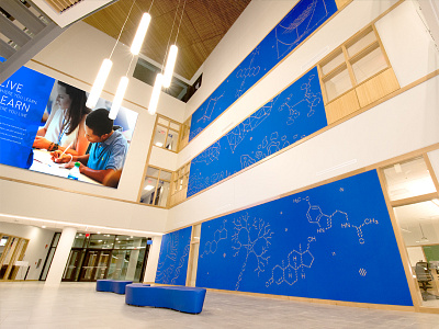 University of Kentucky Arts + Science Mural Graphics branding college educational environmental design media wall science