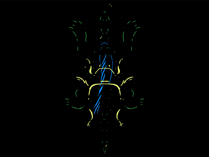 Organa: WIP snippety sneak peak abstract animals animation evolution frame by frame