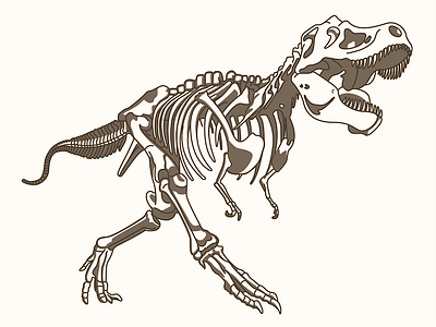 T-Rex Illustration design digital design digital illustration dinosaur graphic design illustration skeleton vector vector art