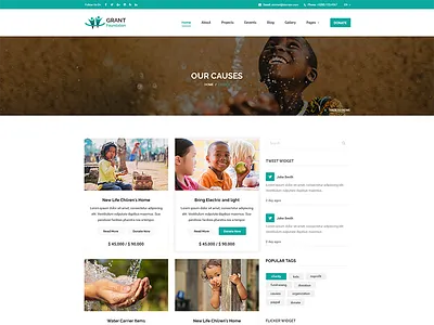 Grant Foundation PSD Template cause charity donate donation foundation fund raising non profit non profit organization