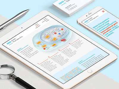 MiNA Therapeutics branding design health medical responsive web design website