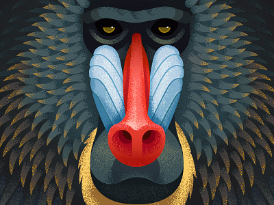 Mandrill anano animal baboon close up face geometric mandrill monkey primate texture