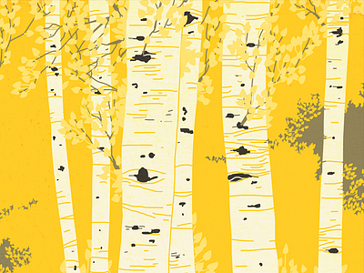 Quaking Aspen aspen drawing illustration nature tree