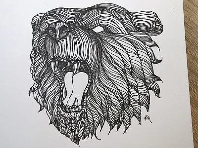 Bear illustration art bear detailed drawing graphic illustration ink lineart