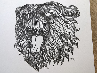 Bear illustration art bear detailed drawing graphic illustration ink lineart