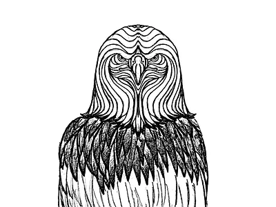 Eagle bird drawing eagle eagles feathers linework patriot patriotic
