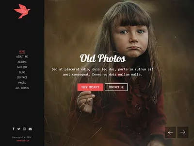 FreeBird - Photography Portfolio HTML Website Template blog css3 gallery html5 photo photo albums photography portfolio responsive themetorium website