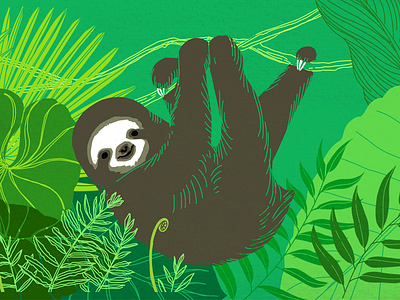 Sloth drawing illustration jungle sloth trees