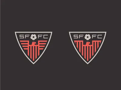 Thunder Crest badge ball bird crest football illustration logo soccer sports team thunder